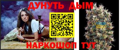 крисы Кимры
