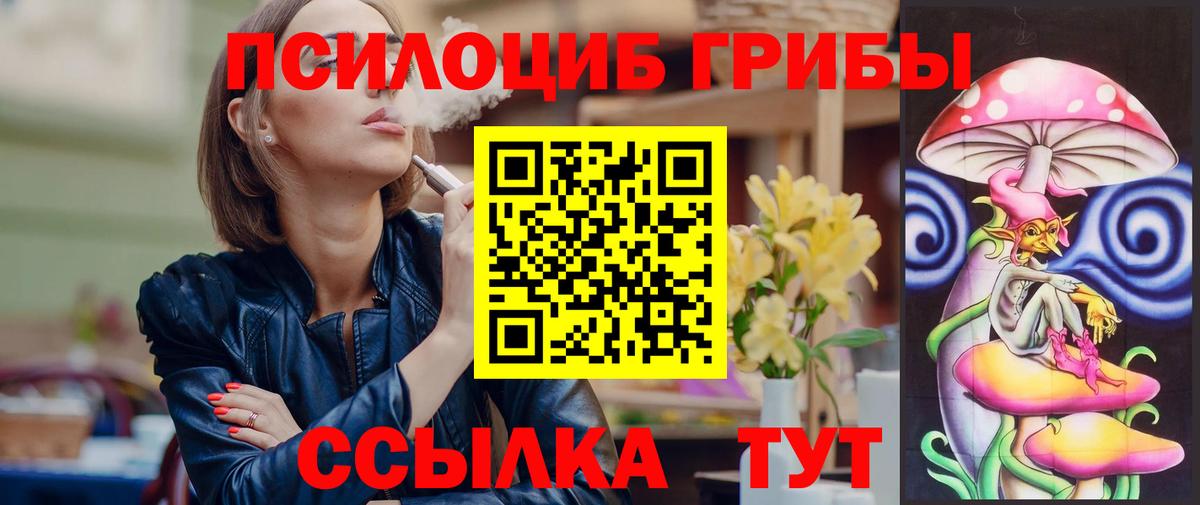 Курчалой  Псилоцибиновые грибы Psilocybe  Вход с VPN 