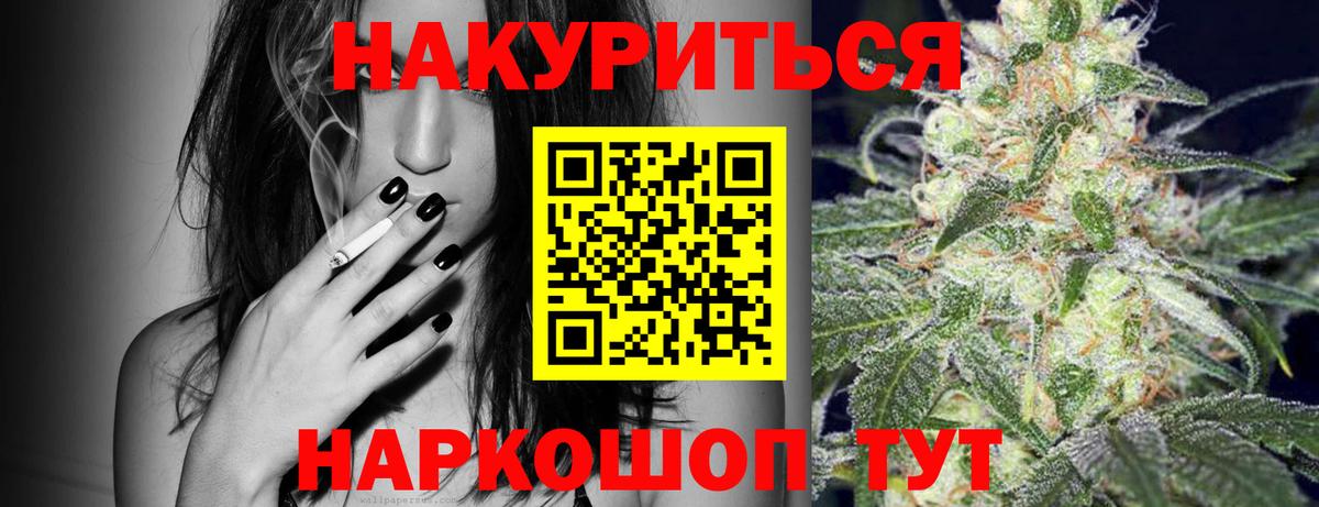 Конопля гибрид Курчалой
